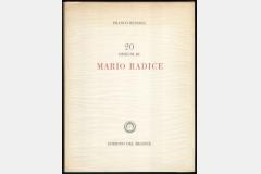 Milione_Radice.jpg