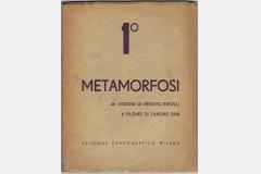 birolli_metamorfosi_campo_grafico.jpeg