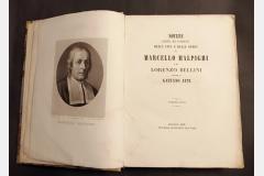 malpighi.jpg