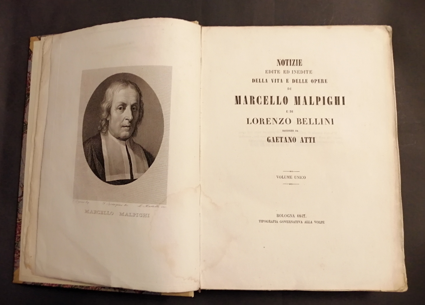 malpighi - Copertina