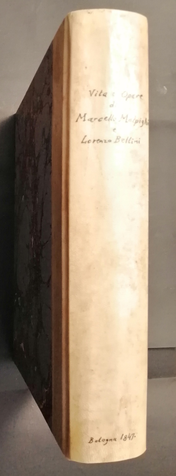 malpighi - Foto 1
