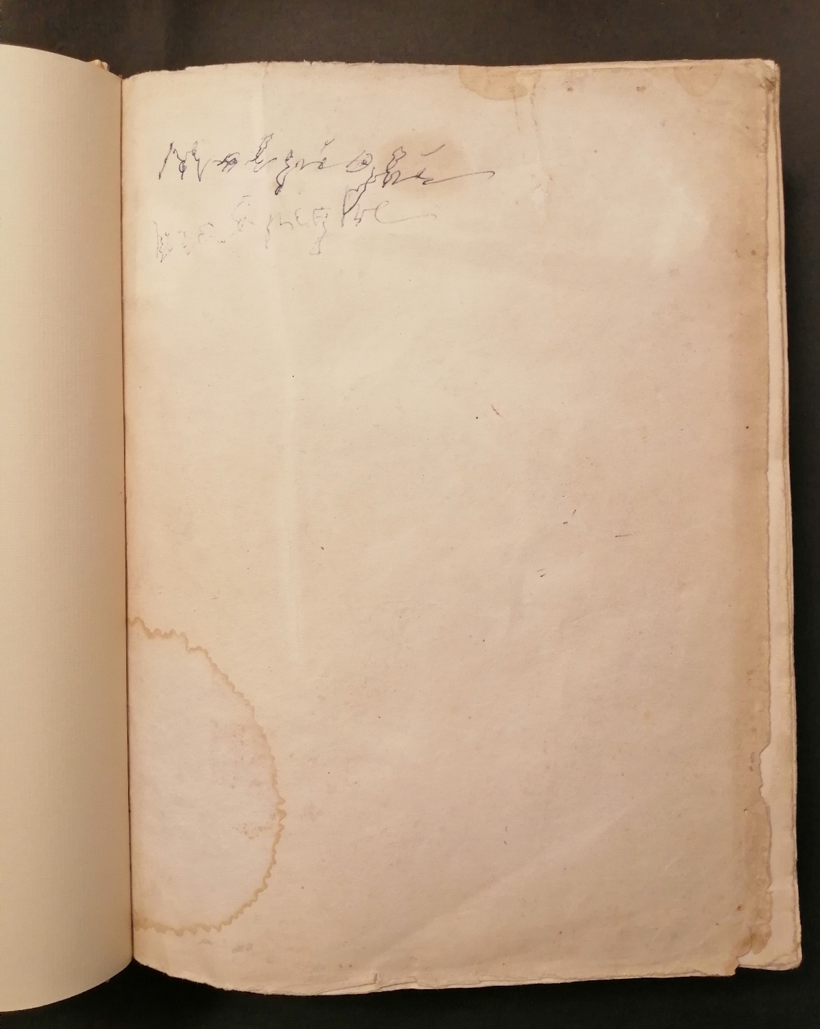 malpighi - Foto 5