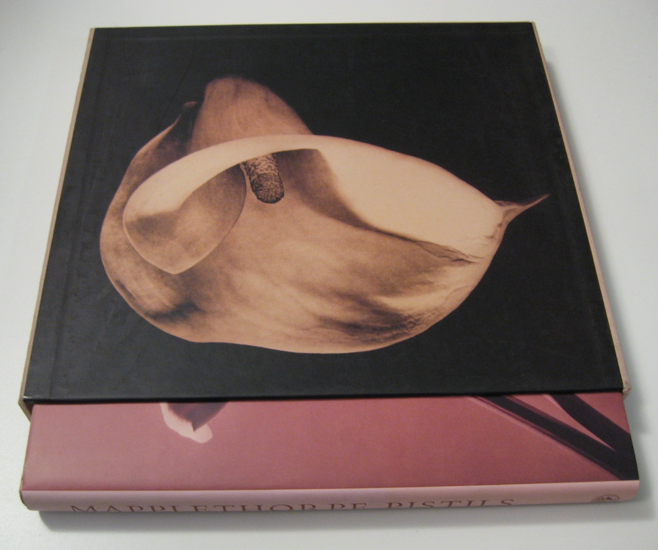 pistils - Copertina